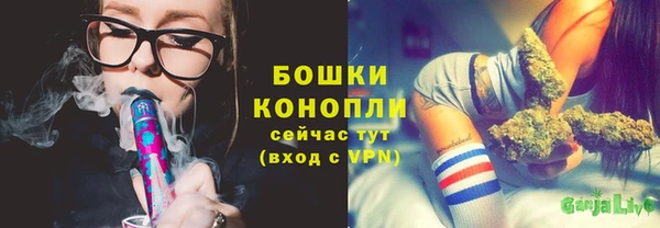 эйфоретик Краснослободск