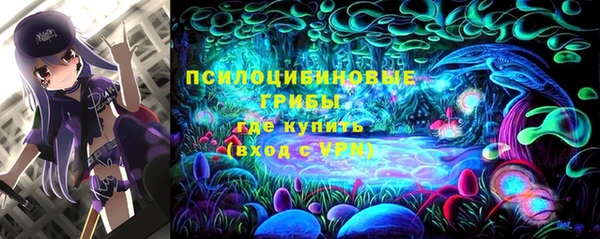 эйфоретик Краснослободск