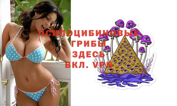молекула духа Краснотурьинск