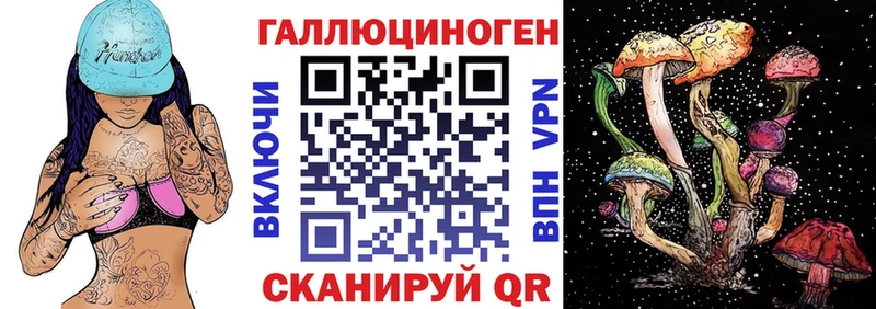Галлюциногенные грибы Cubensis  omg ссылка  Хабаровск 