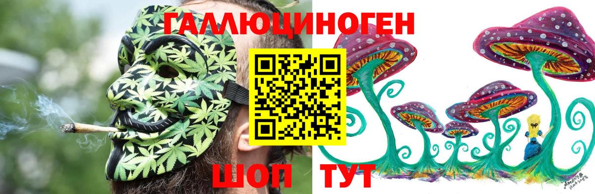 Галлюциногенные грибы прущие грибы  Хабаровск 