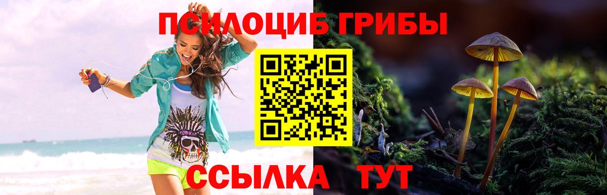 Галлюциногенные грибы мухоморы Хабаровск