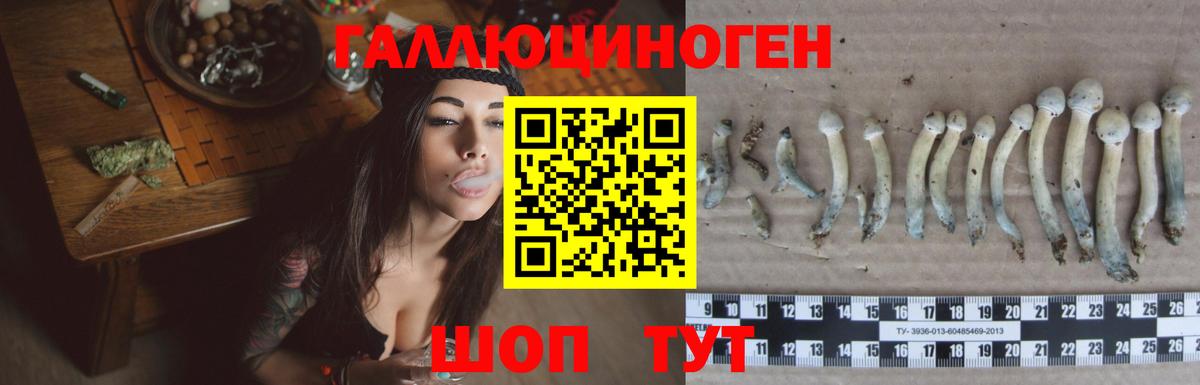 Хабаровск  Псилоцибиновые грибы Cubensis  Вход с VPN 
